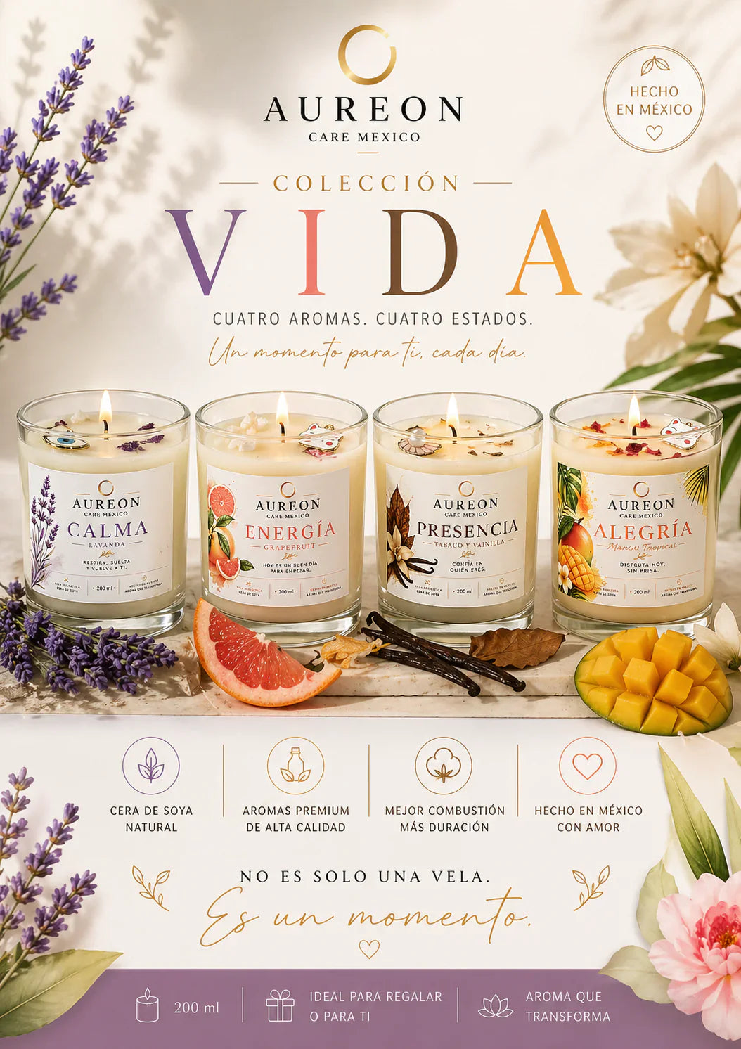 Ritual de Meditación Colección VIDA