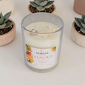 ALEGRIA [Mango Tropical) Colección VIDA I Ritual de Meditación