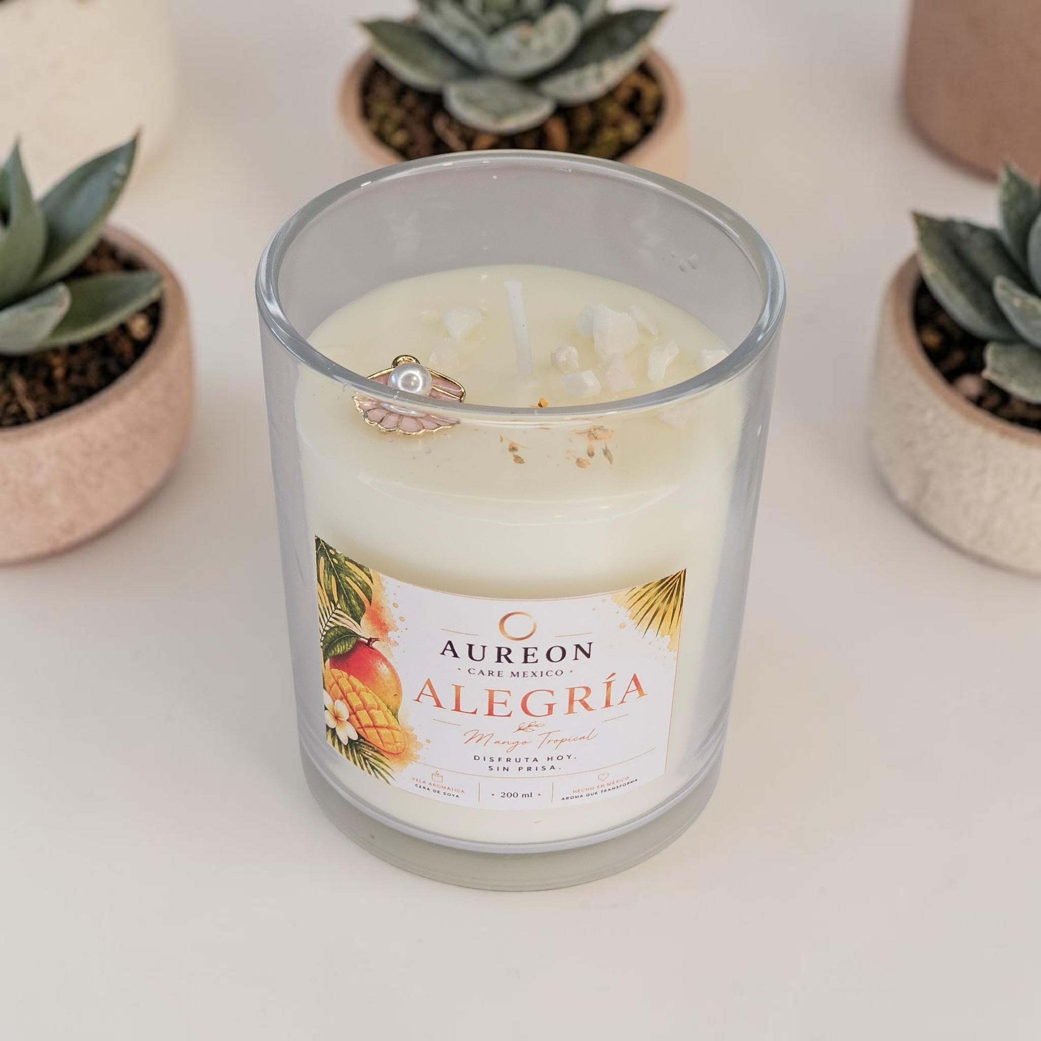 ALEGRIA [Mango Tropical) Colección VIDA I Ritual de Meditación