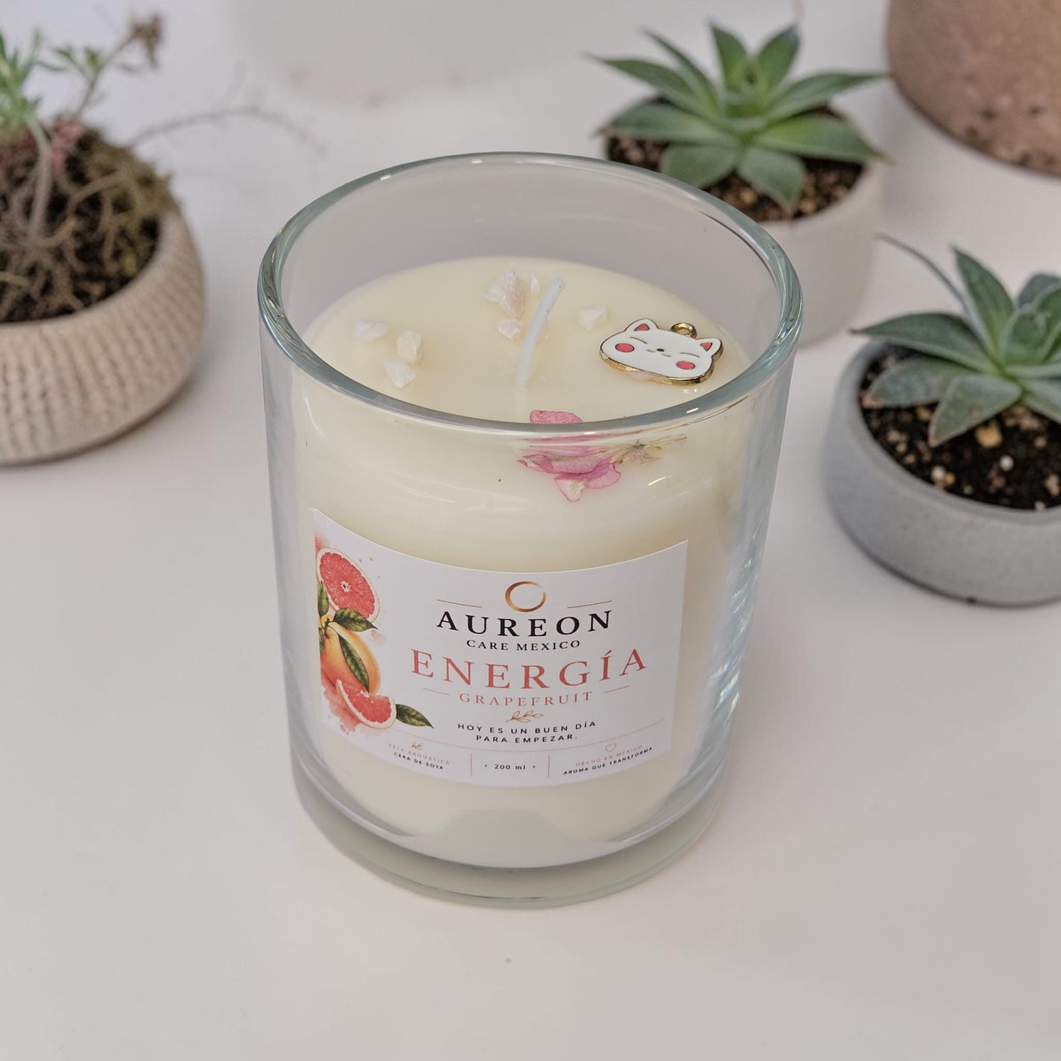 ENERGÍA [Toronja] - Colección VIDA I Ritual de meditación