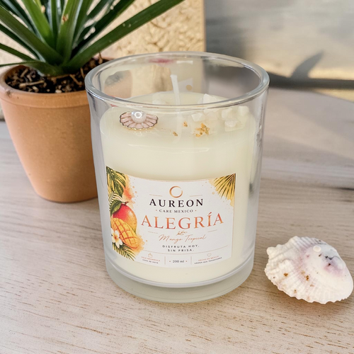 ALEGRIA [Mango Tropical) Colección VIDA I Ritual de Meditación